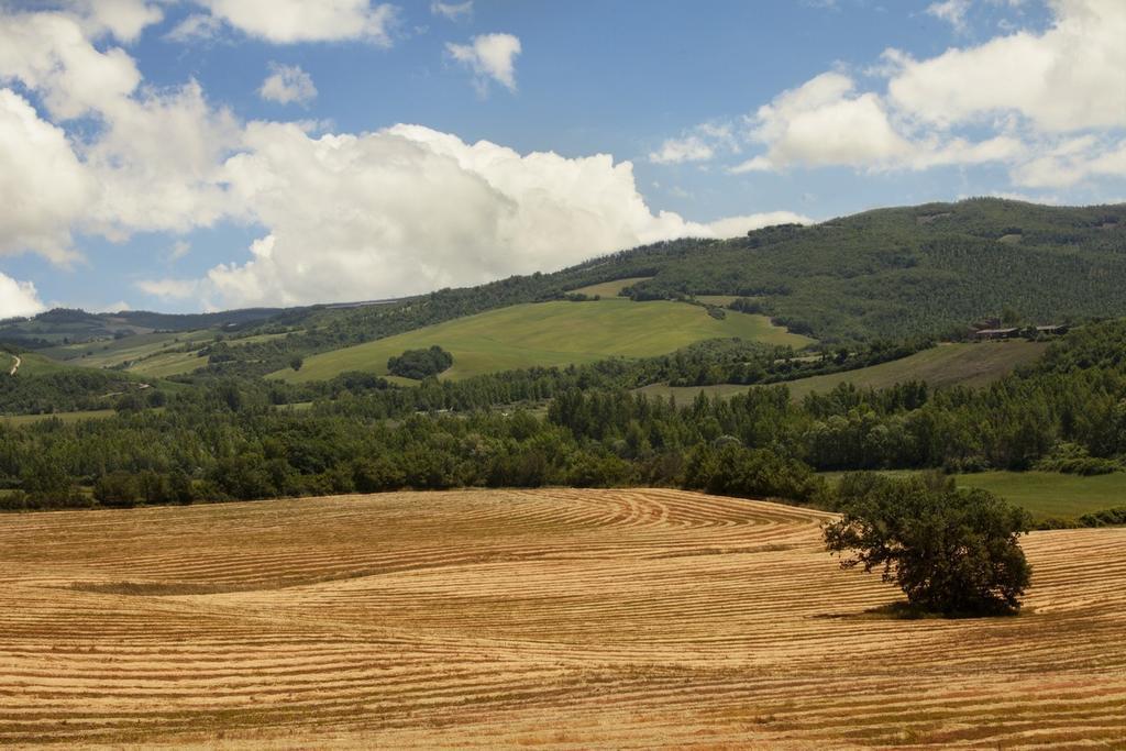 Agriturismo Piettorri Casole d'Elsa Ruang foto